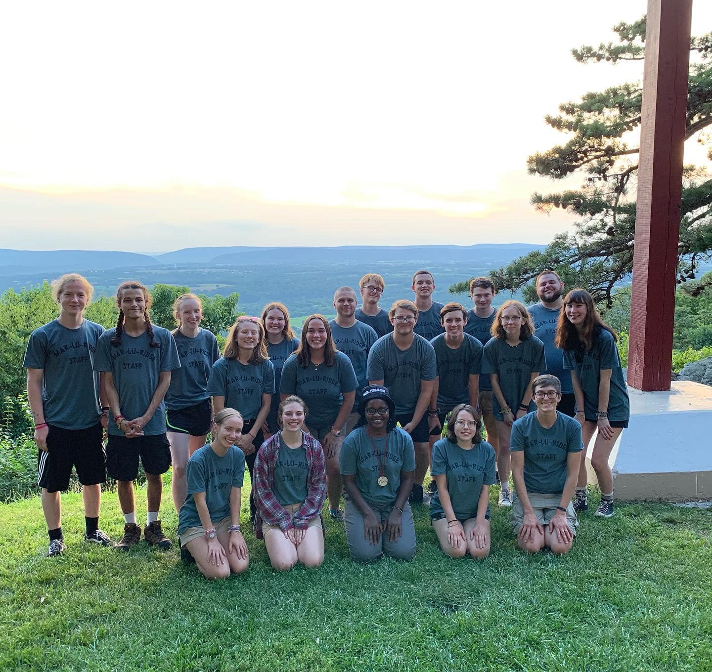 MLR Staff