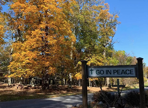 go in peace with fall leaves